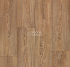 Линолеум Forbo Eternal Wood 10362 warm chestnut фото 1 | FLOORDEALER